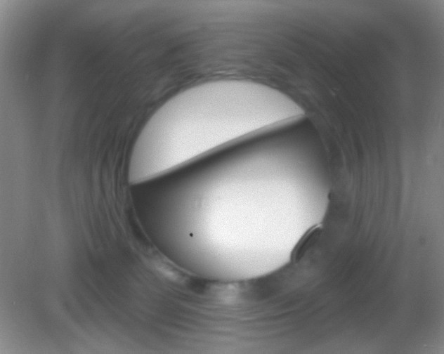 X0000082930131200702011056