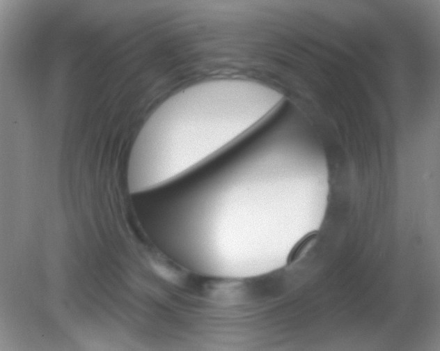 X0000082930132200702011056