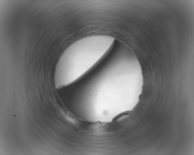 X0000082930136200702011056