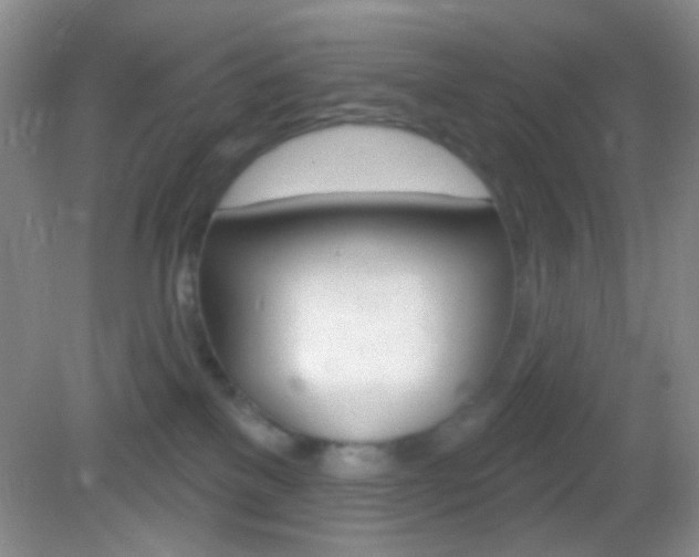 X0000082930137200702011056