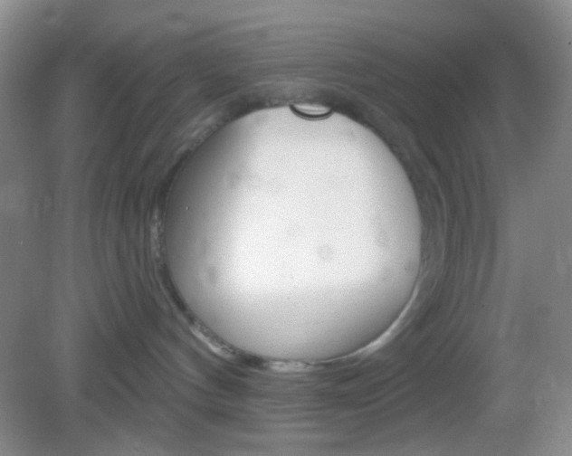X0000082930144200702011056
