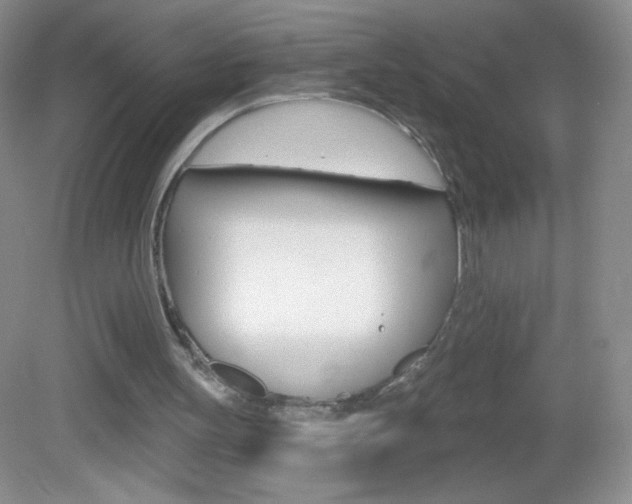 X0000082930147200702011055