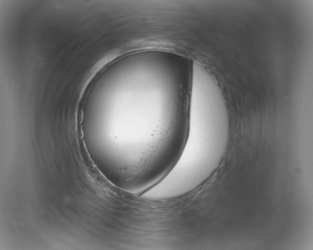 X0000082930148200702011055
