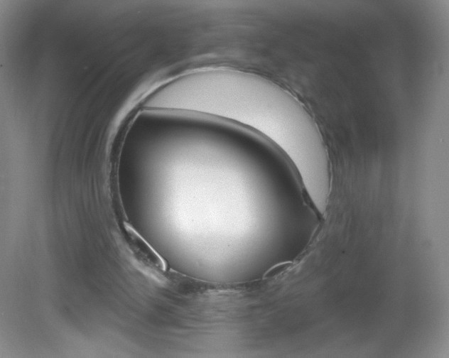 X0000082930150200702011055