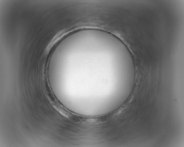 X0000082930151200702011055
