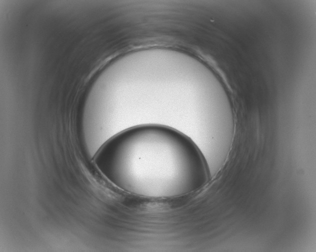 X0000082930154200702011055