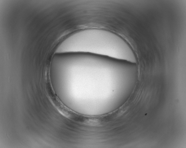 X0000082930157200702011055
