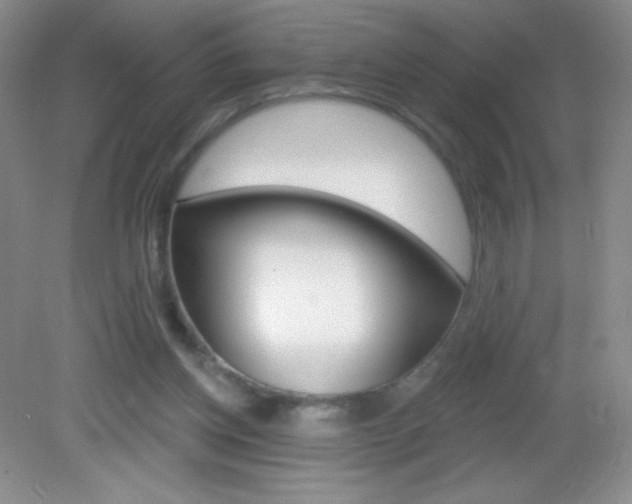 X0000082930158200702011055