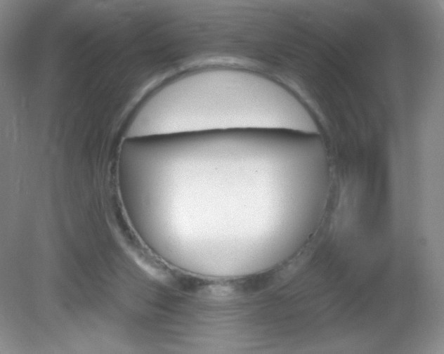 X0000082930159200702011055