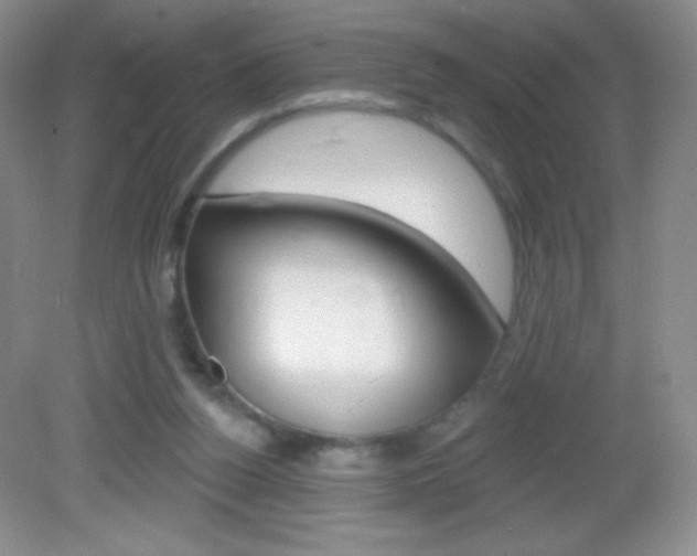 X0000082930160200702011055