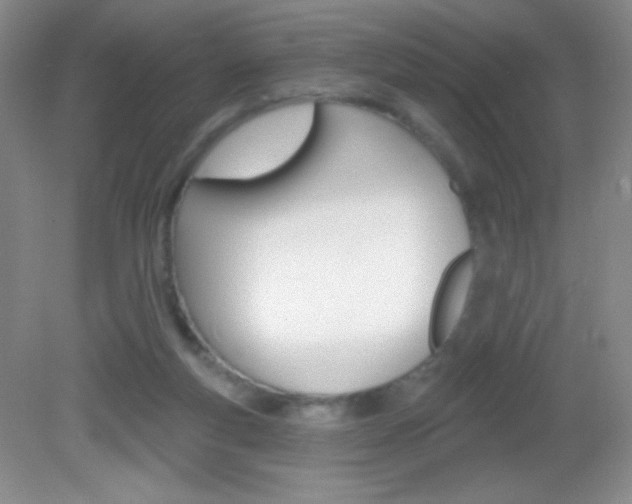 X0000082930163200702011055