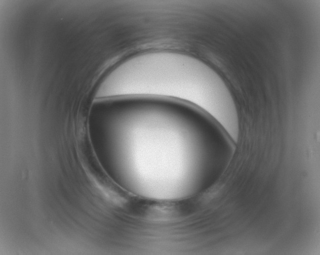 X0000082930164200702011055