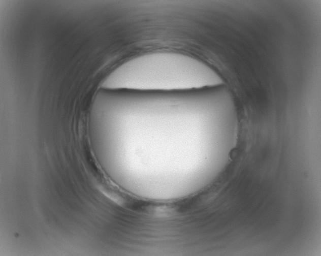 X0000082930165200702011055