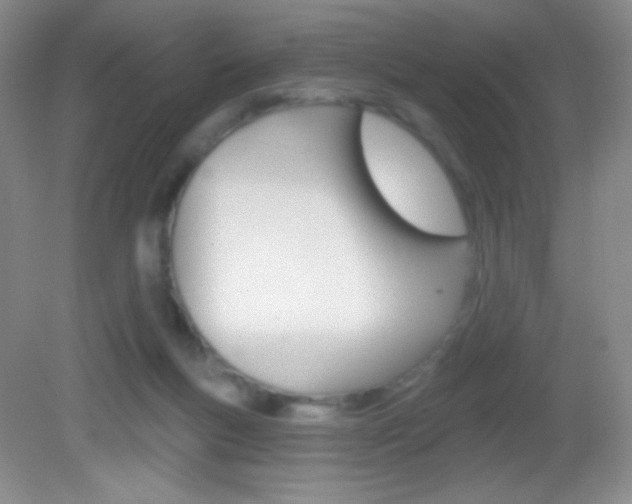 X0000082930167200702011055