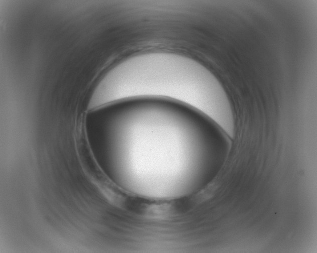 X0000082930168200702011055