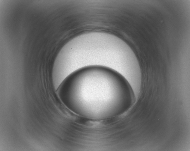 X0000082930170200702011055
