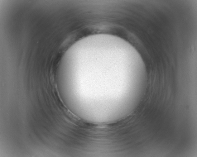 X0000082930173200702011055