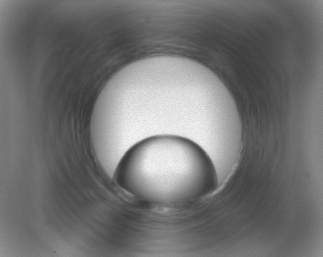 X0000082930174200702011055