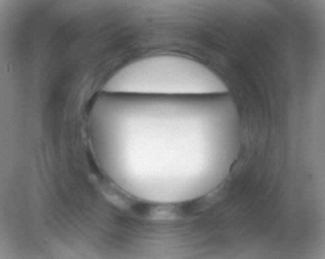 X0000082930175200702011055