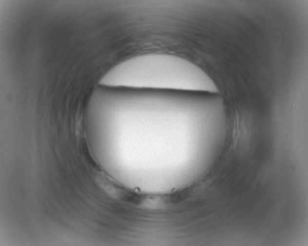 X0000082930177200702011055