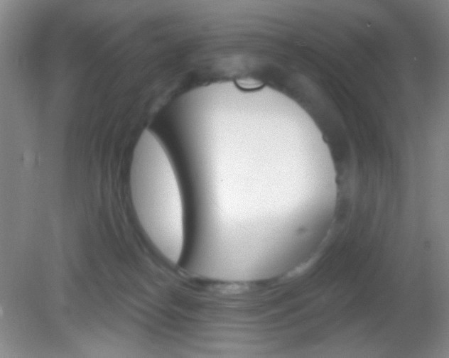 X0000082930182200702011055