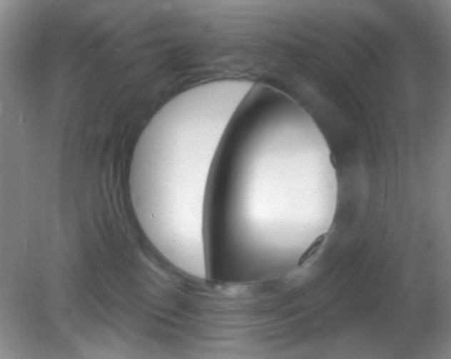 X0000082930186200702011055