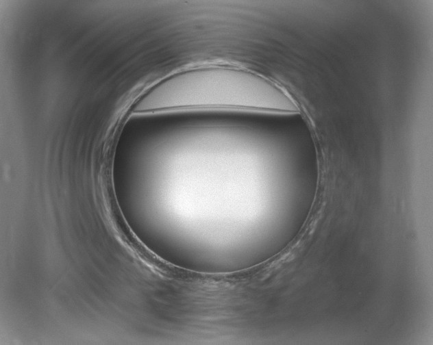 X0000082930193200702011055