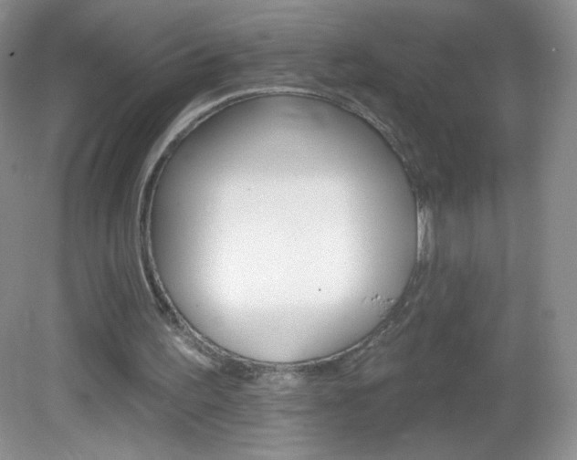 X0000082930195200702011055