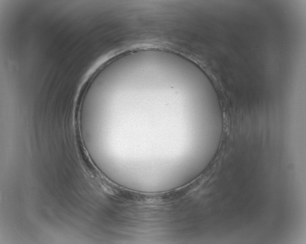 X0000082930196200702011055