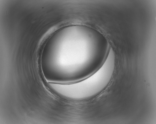 X0000082930197200702011055