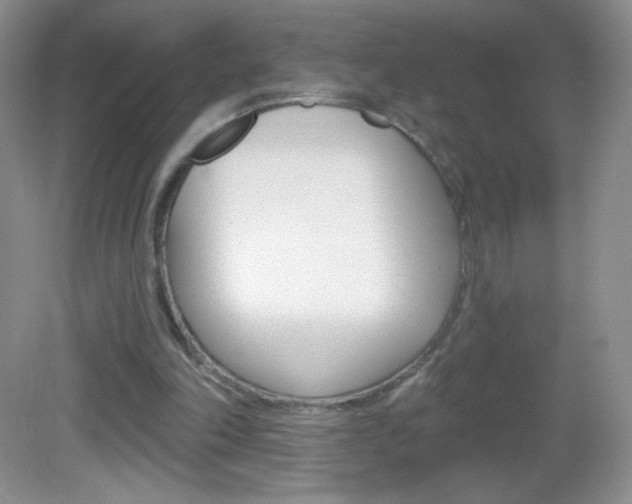 X0000082930198200702011055