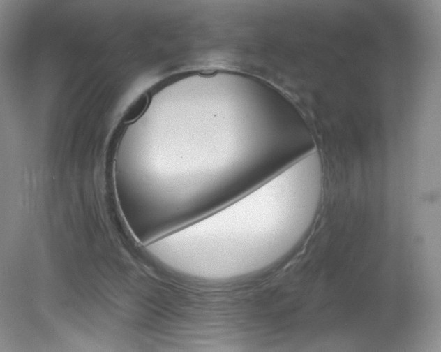 X0000082930200200702011055