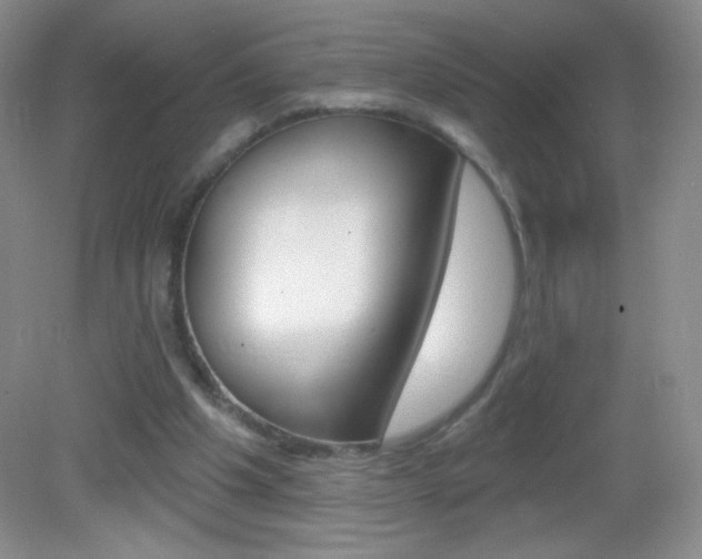 X0000082930201200702011055