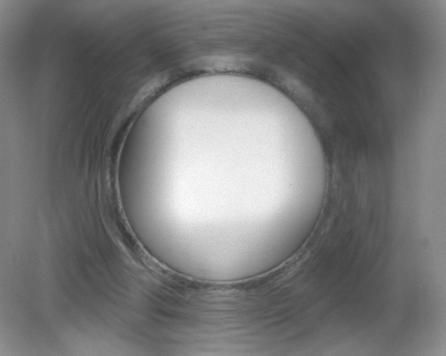 X0000082930202200702011055