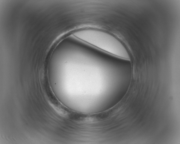 X0000082930204200702011055