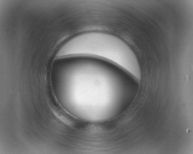 X0000082930207200702011055