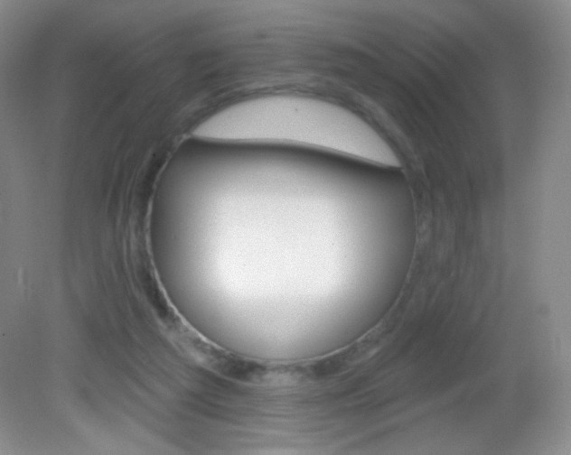 X0000082930209200702011055