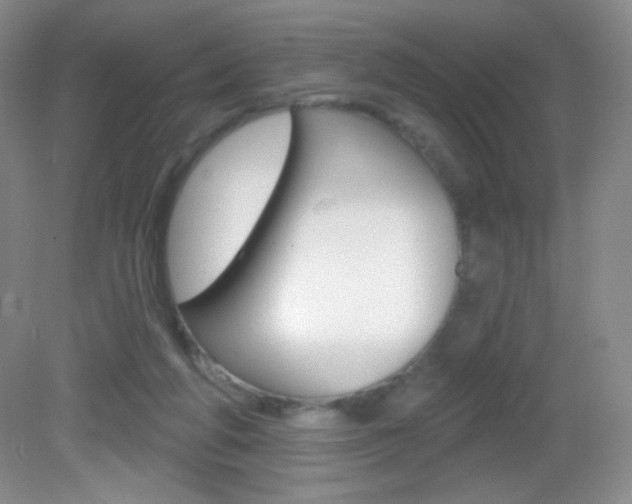 X0000082930210200702011055