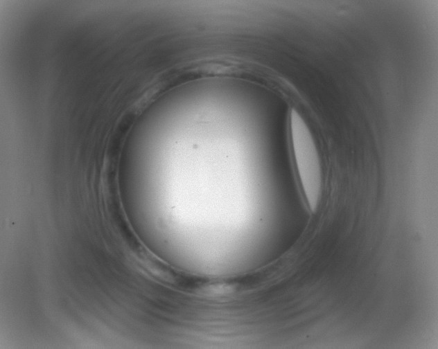 X0000082930217200702011054