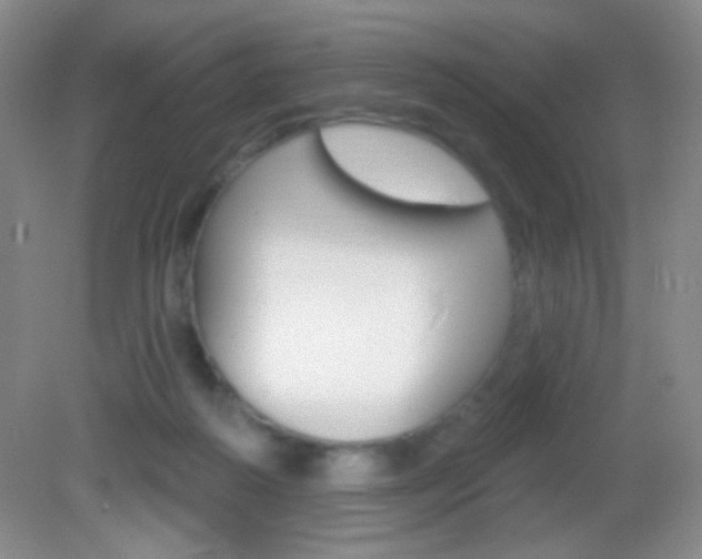 X0000082930218200702011054