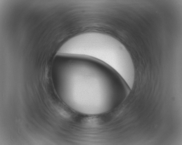 X0000082930219200702011054