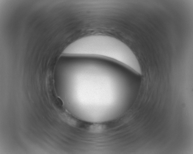 X0000082930225200702011054