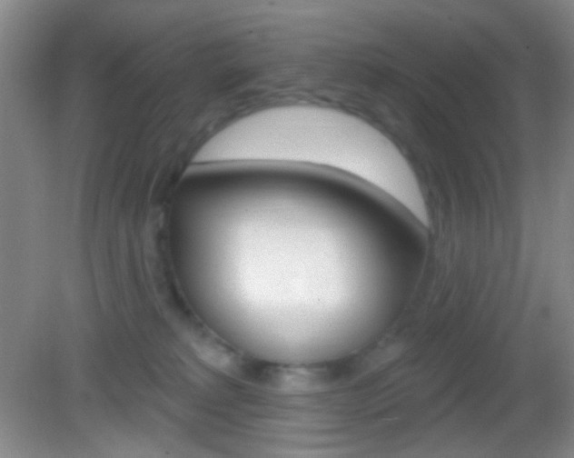 X0000082930229200702011054