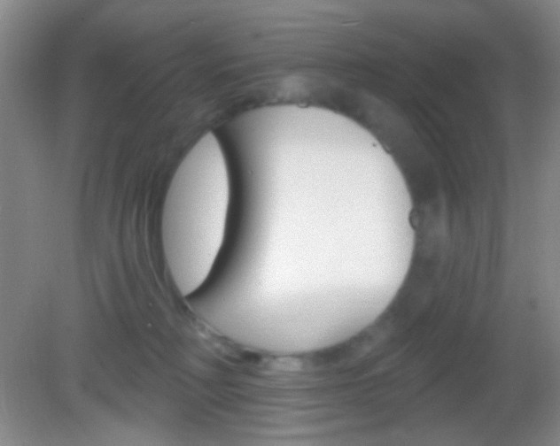 X0000082930230200702011054