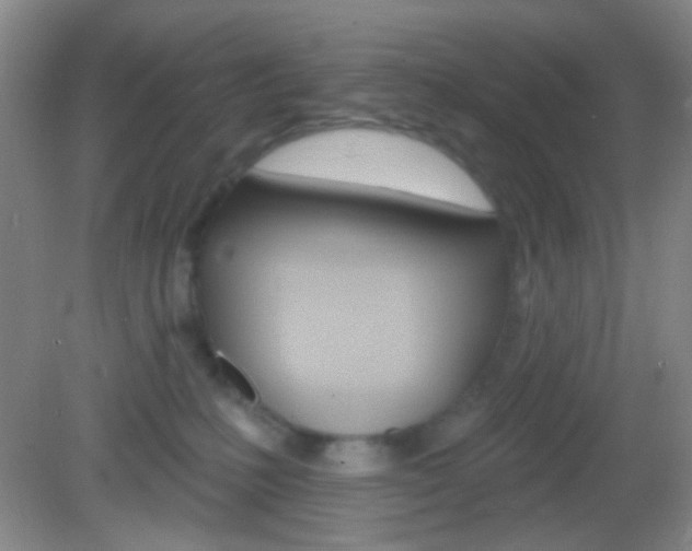 X0000082930231200702011054