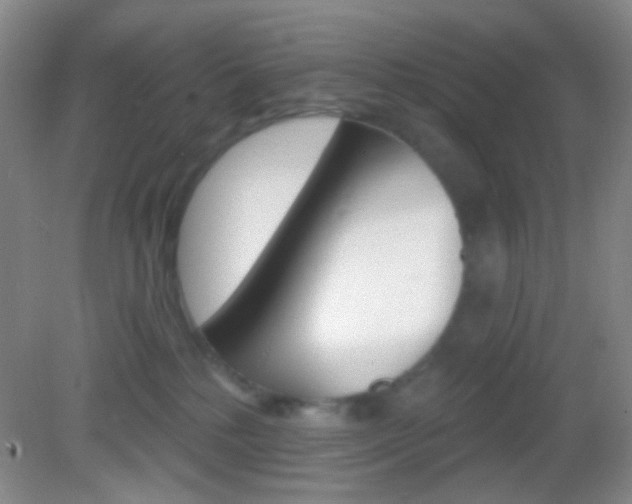 X0000082930232200702011054
