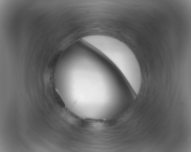 X0000082930233200702011054