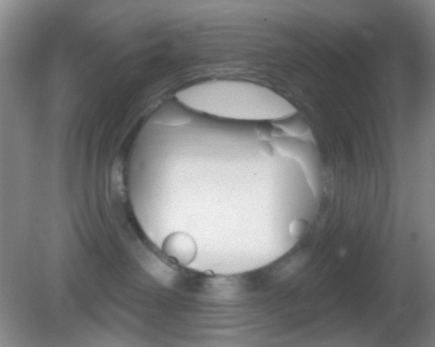 X0000082930238200702011054