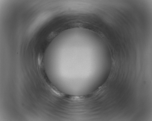 X0000082930239200702011054