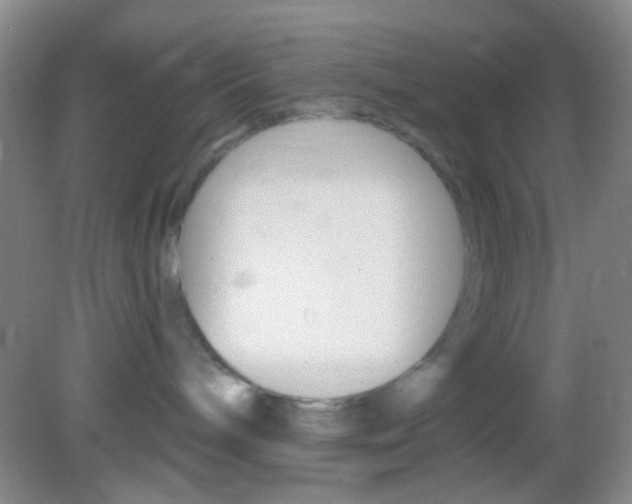 X0000082930240200702011054